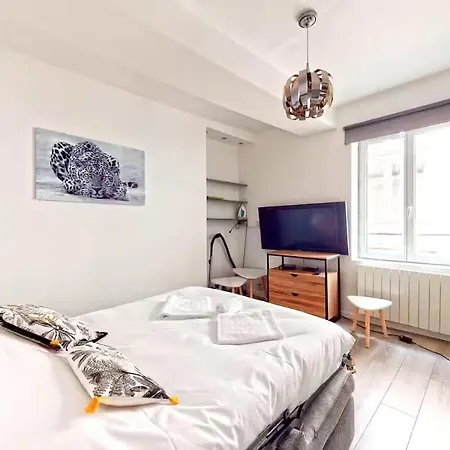 Hypercentre Apartment Lyon